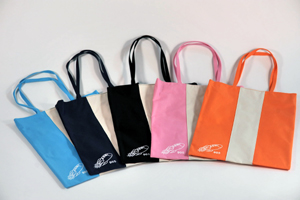 1017 eco 2 DSC_0291.jpg